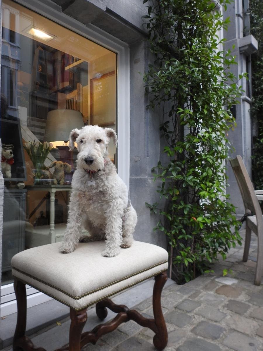 Michel Lambrecht avec Laika
